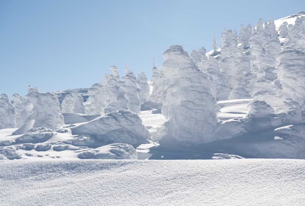 樹氷