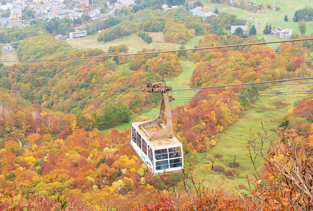 자오 중앙 로프웨이
