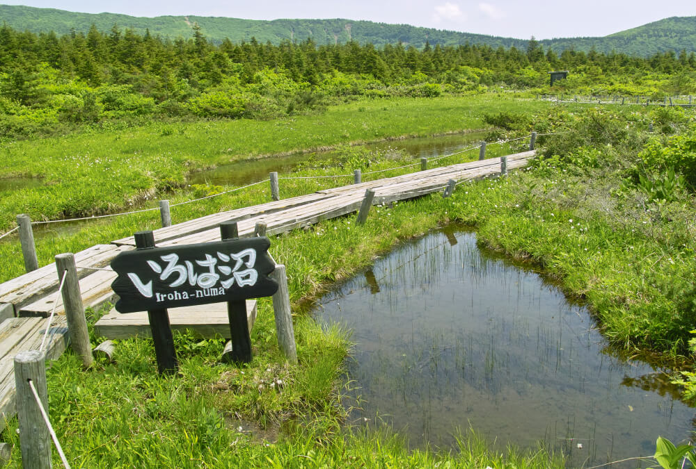 이로하 연못·관송평